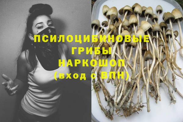 прущий лед Алексин