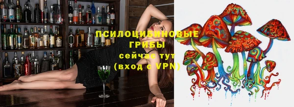 прущий лед Алексин