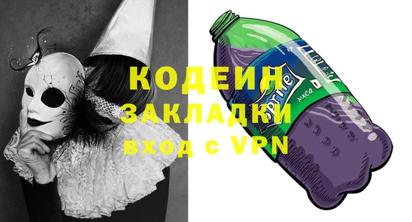 прущие грибы Алзамай