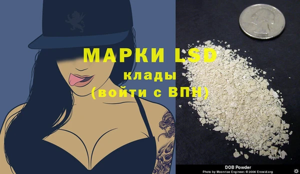 прущие грибы Алзамай