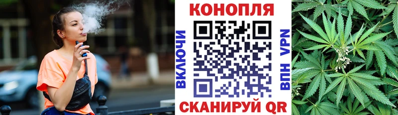 Каннабис индика  Рубцовск 